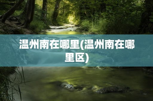 温州南在哪里(温州南在哪里区)