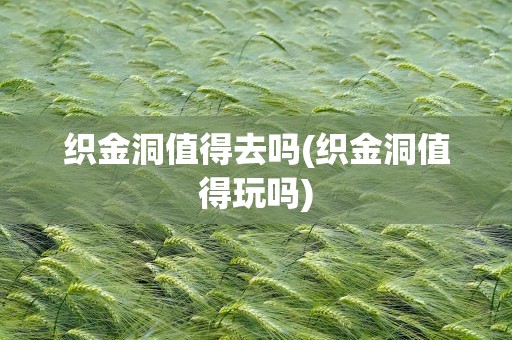 织金洞值得去吗(织金洞值得玩吗)