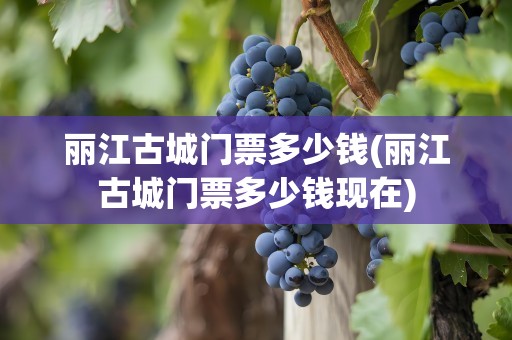 丽江古城门票多少钱(丽江古城门票多少钱现在)