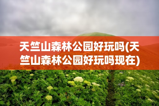 天竺山森林公园好玩吗(天竺山森林公园好玩吗现在)