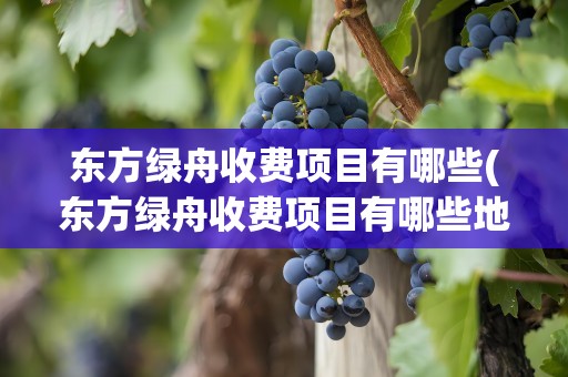 东方绿舟收费项目有哪些(东方绿舟收费项目有哪些地方)