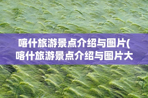 喀什旅游景点介绍与图片(喀什旅游景点介绍与图片大全)