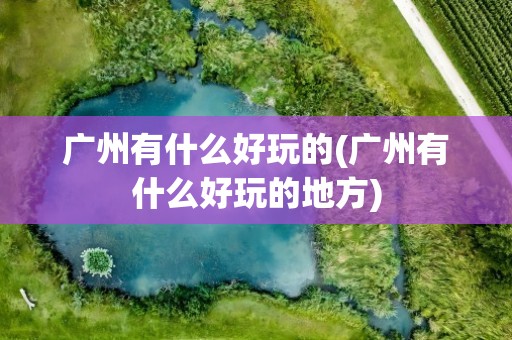 广州有什么好玩的(广州有什么好玩的地方)
