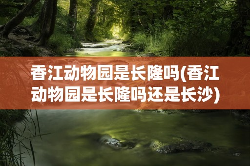 香江动物园是长隆吗(香江动物园是长隆吗还是长沙)