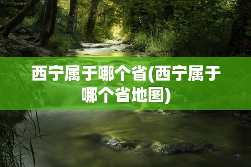 西宁属于哪个省(西宁属于哪个省地图)