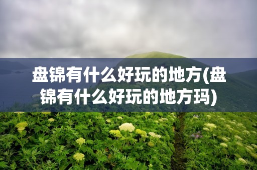 盘锦有什么好玩的地方(盘锦有什么好玩的地方玛)