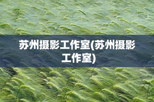 苏州摄影工作室(苏州摄影 工作室)