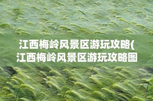 江西梅岭风景区游玩攻略(江西梅岭风景区游玩攻略图)