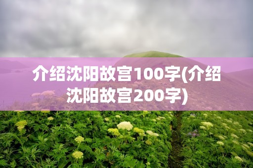 介绍沈阳故宫100字(介绍沈阳故宫200字)