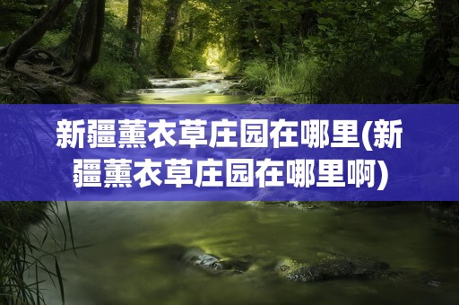 新疆薰衣草庄园在哪里(新疆薰衣草庄园在哪里啊)