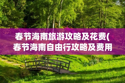 春节海南旅游攻略及花费(春节海南自由行攻略及费用)