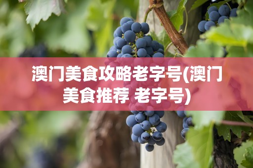 澳门美食攻略老字号(澳门美食推荐 老字号)