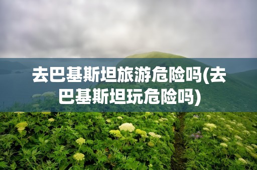 去巴基斯坦旅游危险吗(去巴基斯坦玩危险吗)