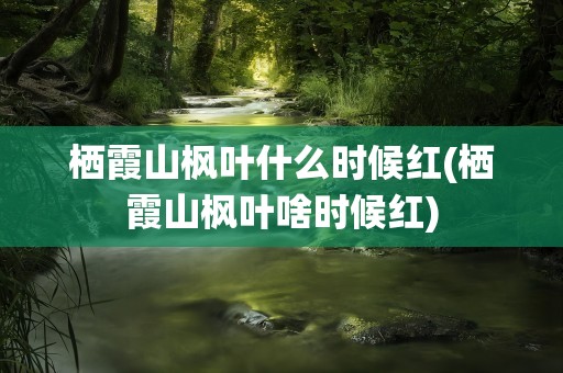 栖霞山枫叶什么时候红(栖霞山枫叶啥时候红)