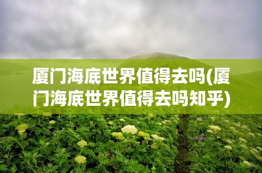 厦门海底世界值得去吗(厦门海底世界值得去吗知乎)