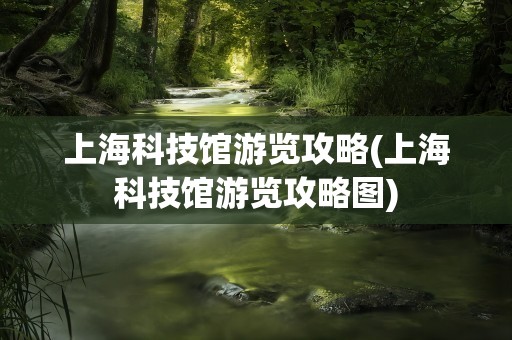 上海科技馆游览攻略(上海科技馆游览攻略图)