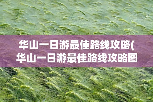 华山一日游最佳路线攻略(华山一日游最佳路线攻略图)