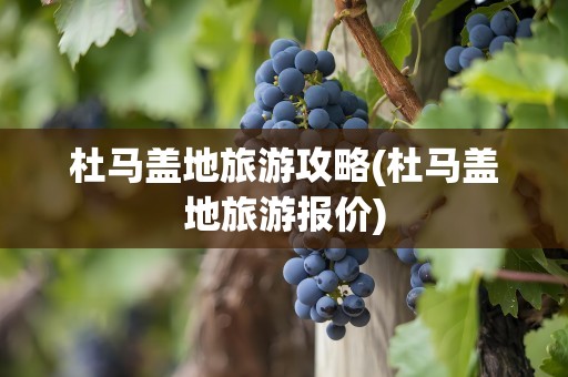 杜马盖地旅游攻略(杜马盖地旅游报价)