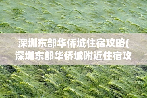 深圳东部华侨城住宿攻略(深圳东部华侨城附近住宿攻略)