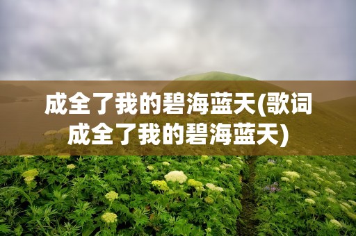 成全了我的碧海蓝天(歌词成全了我的碧海蓝天)