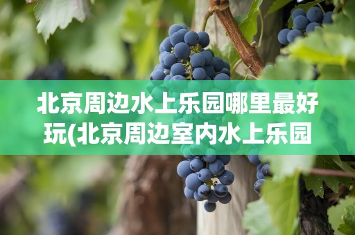 北京周边水上乐园哪里最好玩(北京周边室内水上乐园有哪些)