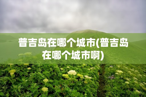 普吉岛在哪个城市(普吉岛在哪个城市啊)