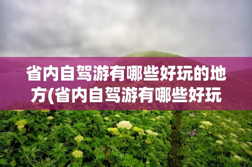 省内自驾游有哪些好玩的地方(省内自驾游有哪些好玩的地方推荐)