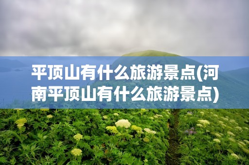 平顶山有什么旅游景点(河南平顶山有什么旅游景点)