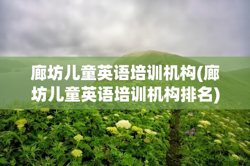 廊坊儿童英语培训机构(廊坊儿童英语培训机构排名)