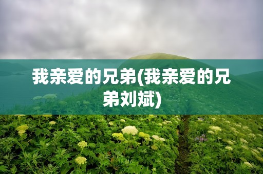 我亲爱的兄弟(我亲爱的兄弟刘斌)