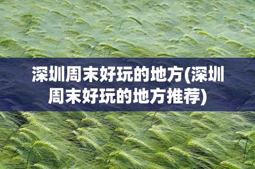 深圳周末好玩的地方(深圳周末好玩的地方推荐)