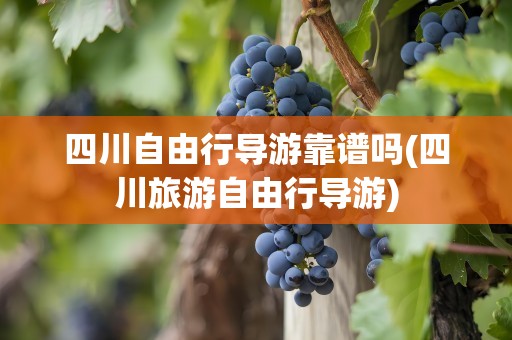 四川自由行导游靠谱吗(四川旅游自由行导游)