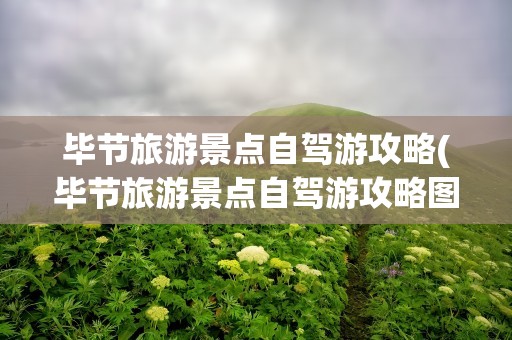 毕节旅游景点自驾游攻略(毕节旅游景点自驾游攻略图)