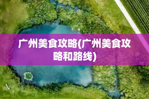 广州美食攻略(广州美食攻略和路线)