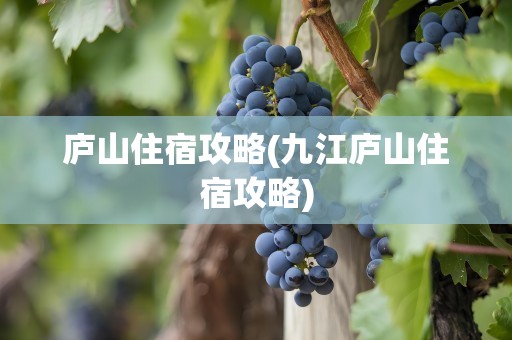 庐山住宿攻略(九江庐山住宿攻略)