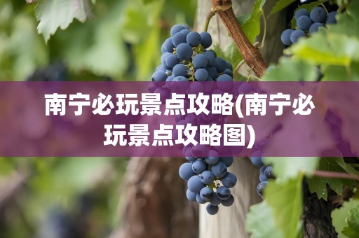 南宁必玩景点攻略(南宁必玩景点攻略图)
