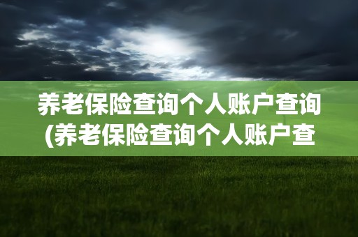 养老保险查询个人账户查询(养老保险查询个人账户查询官网)