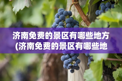 济南免费的景区有哪些地方(济南免费的景区有哪些地方好玩)