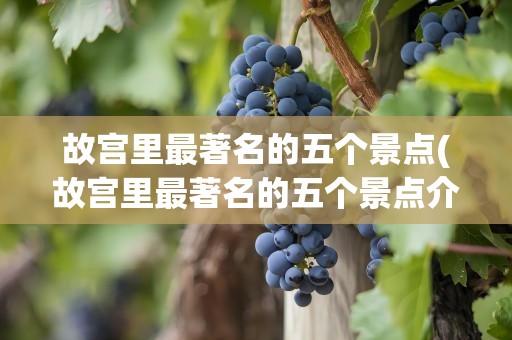故宫里最著名的五个景点(故宫里最著名的五个景点介绍)