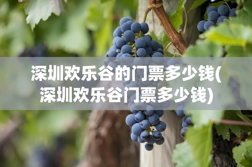 深圳欢乐谷的门票多少钱(深圳欢乐谷门票多少钱)