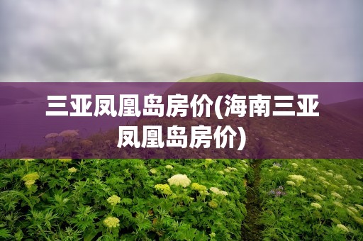 三亚凤凰岛房价(海南三亚凤凰岛房价)