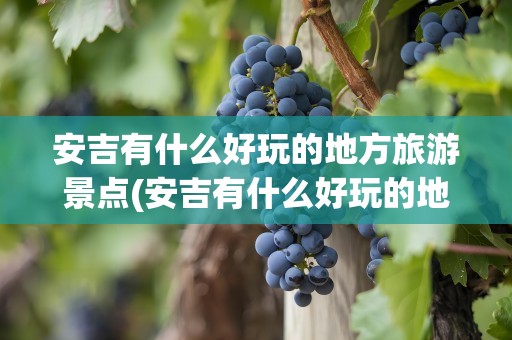 安吉有什么好玩的地方旅游景点(安吉有什么好玩的地方旅游景点知乎)