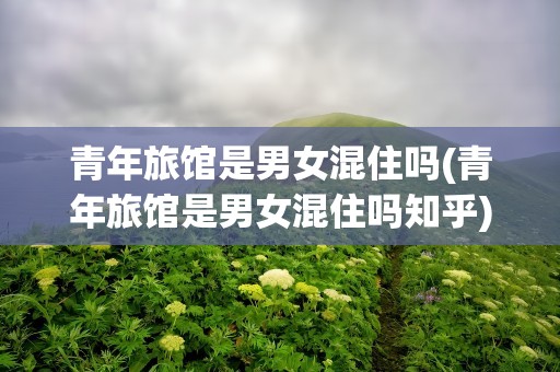 青年旅馆是男女混住吗(青年旅馆是男女混住吗知乎)