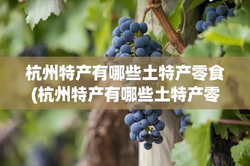 杭州特产有哪些土特产零食(杭州特产有哪些土特产零食品牌)
