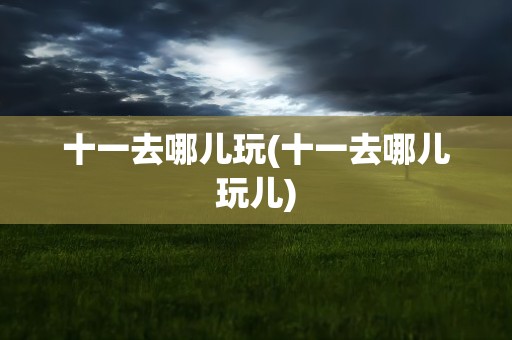 十一去哪儿玩(十一去哪儿玩儿)