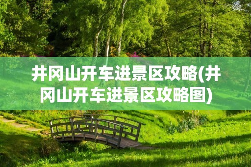 井冈山开车进景区攻略(井冈山开车进景区攻略图)