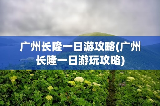 广州长隆一日游攻略(广州长隆一日游玩攻略)