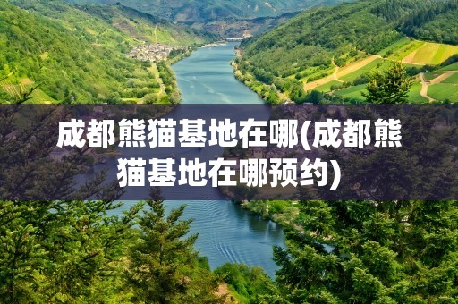 成都熊猫基地在哪(成都熊猫基地在哪预约)