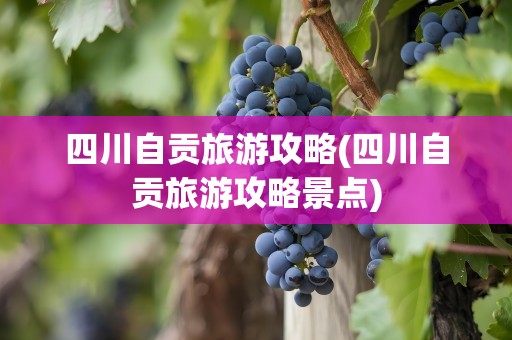 四川自贡旅游攻略(四川自贡旅游攻略景点)