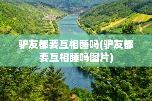 驴友都要互相睡吗(驴友都要互相睡吗图片)